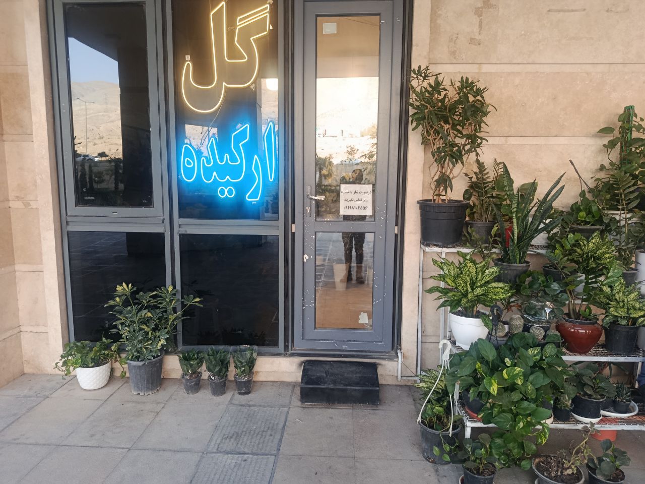 گل فروشی ارکیده