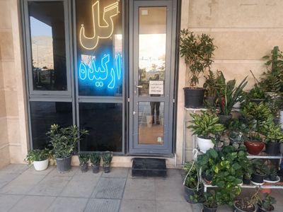 گل فروشی ارکیده